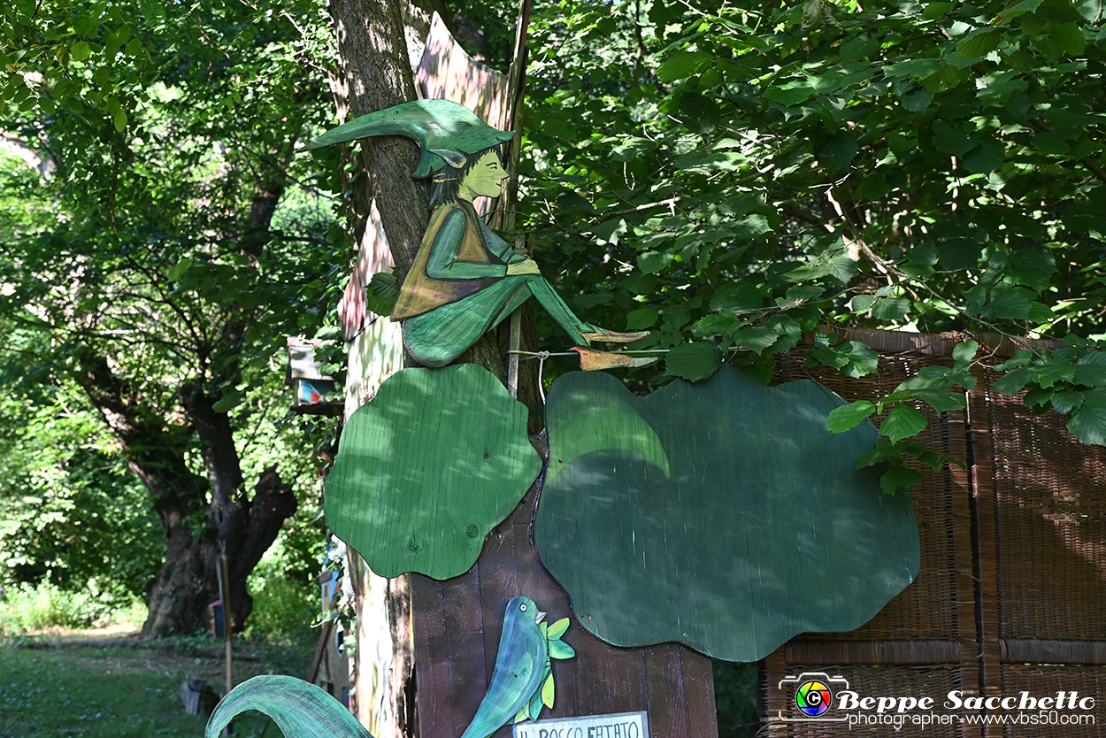 VBS_4923 - Il bosco fatato - Montaldo Roero.jpg